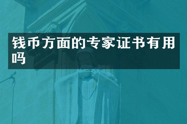 钱币方面的专家证书有用吗