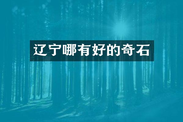 辽宁哪有好的奇石