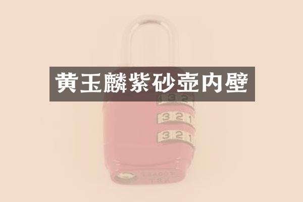 黄玉麟紫砂壶内壁
