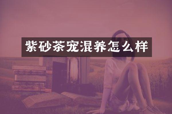 紫砂茶宠混养怎么样
