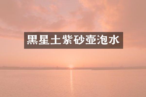 黑星土紫砂壶泡水