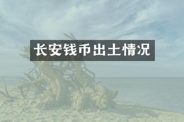 长安钱币出土情况