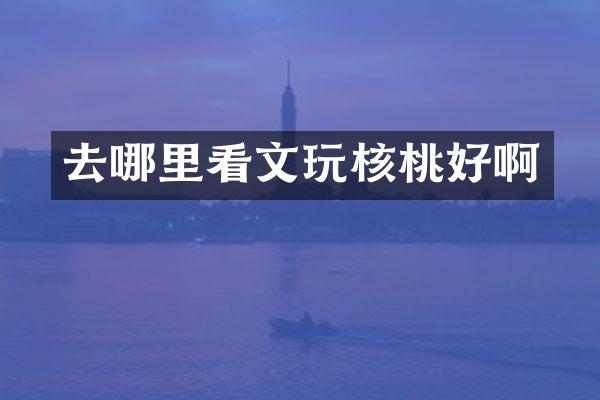 去哪里看文玩核桃好啊