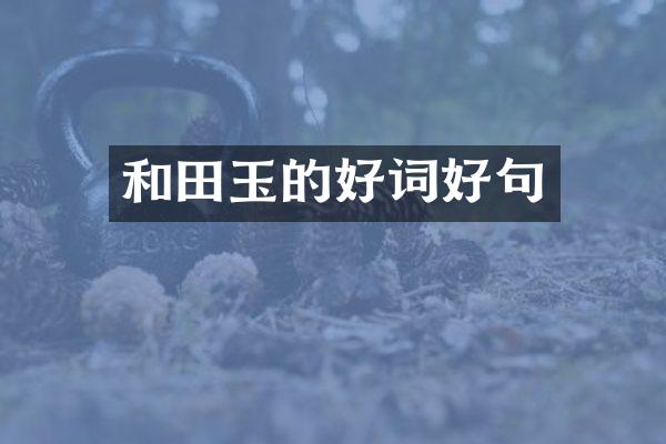 和田玉的好词好句