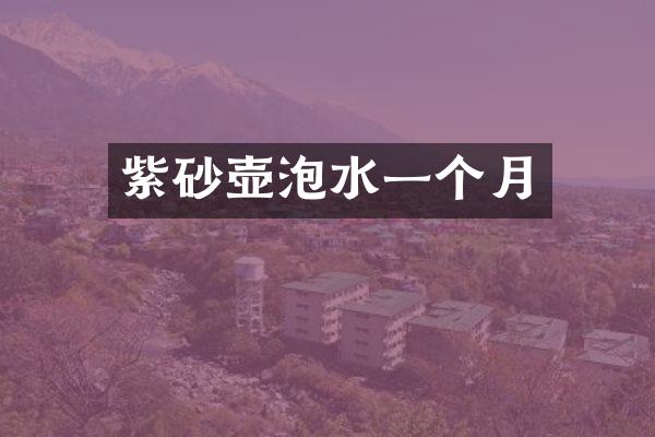 紫砂壶泡水一个月