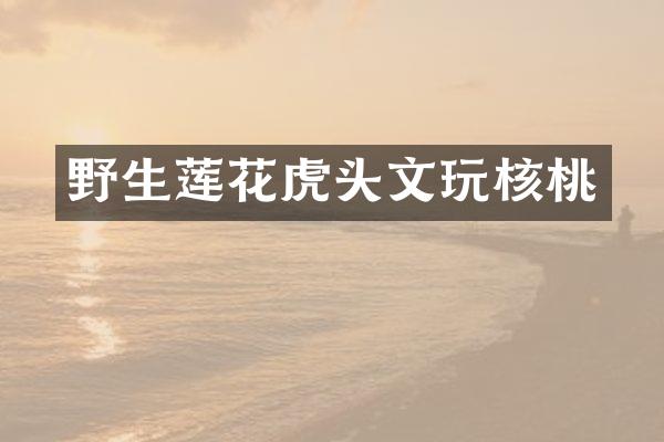 野生莲花虎头文玩核桃