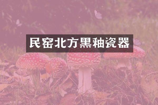 民窑北方黑釉瓷器