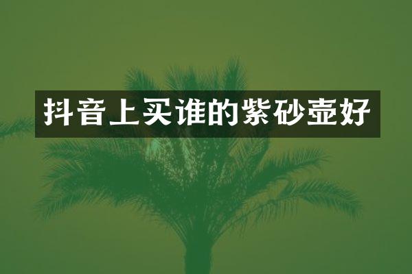 抖音上买谁的紫砂壶好