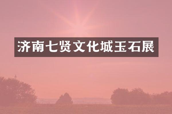 济南七贤文化城玉石展