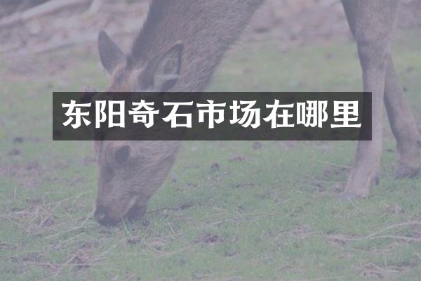 东阳奇石市场在哪里