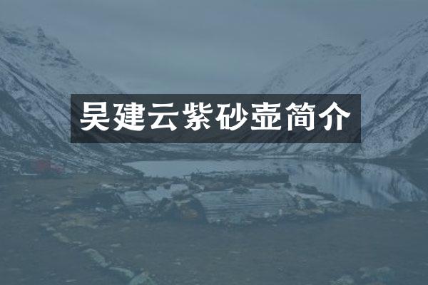 吴建云紫砂壶简介