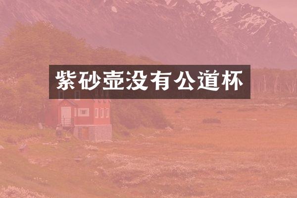 紫砂壶没有公道杯