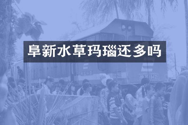 阜新水草玛瑙还多吗