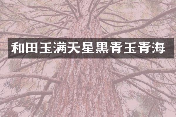 和田玉满天星黑青玉青海