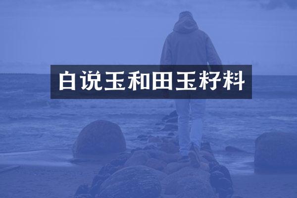 白说玉和田玉籽料