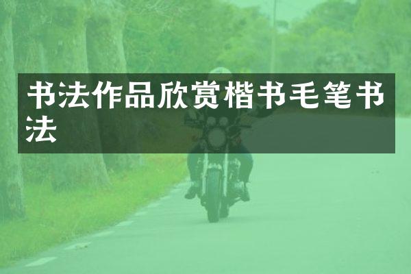 书法作品欣赏楷书毛笔书法