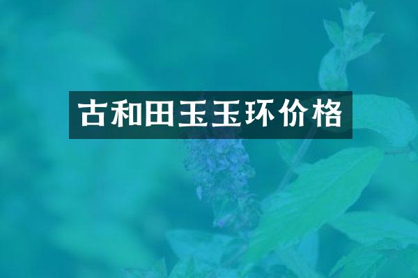 古和田玉玉环价格