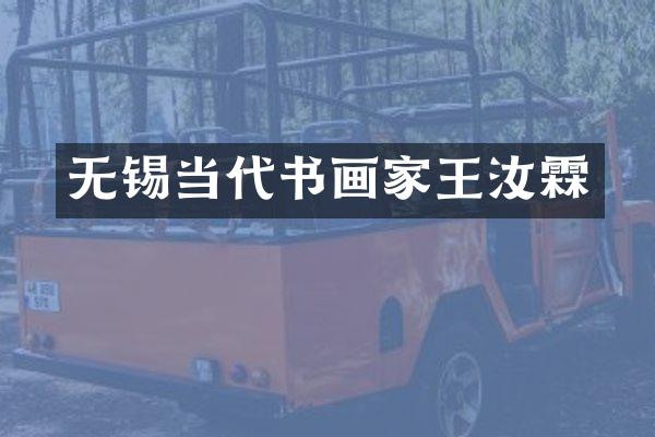 无锡当代书画家王汝霖