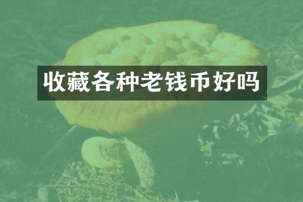 收藏各种老钱币好吗