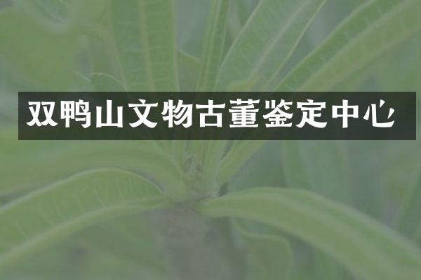 双鸭山文物古董鉴定中心