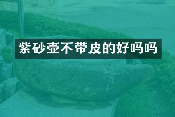 紫砂壶不带皮的好吗吗