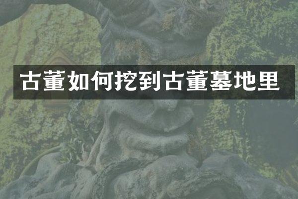 古董如何挖到古董墓地里