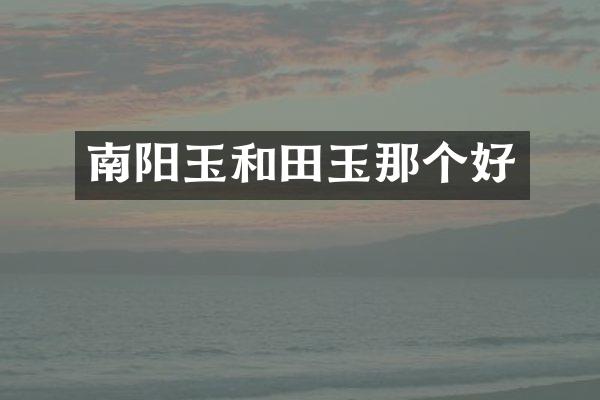 南阳玉和田玉那个好