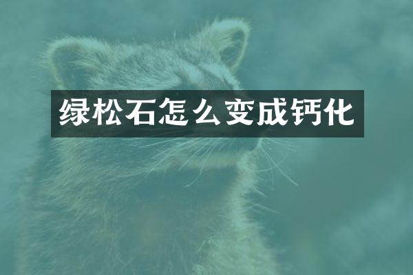 绿松石怎么变成钙化