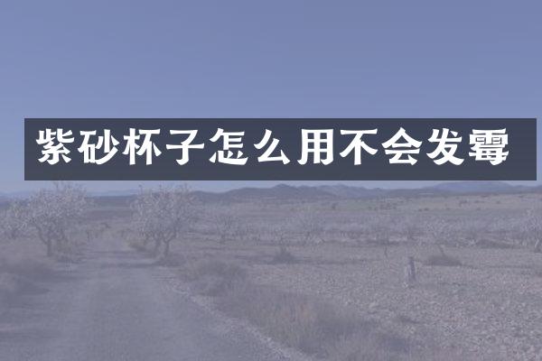 紫砂杯子怎么用不会发霉