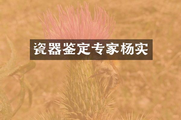 瓷器鉴定专家杨实