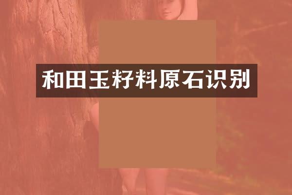 和田玉籽料原石识别