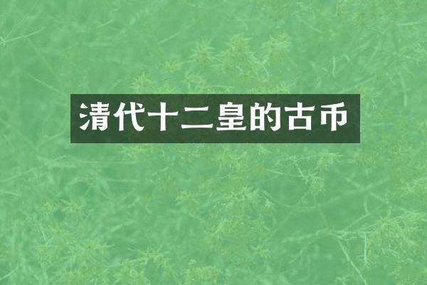 清代十二皇的古币