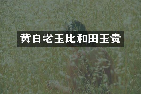 黄白老玉比和田玉贵