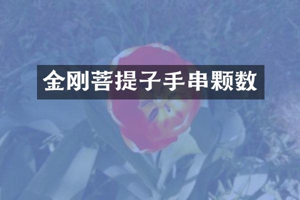 金刚菩提子手串颗数