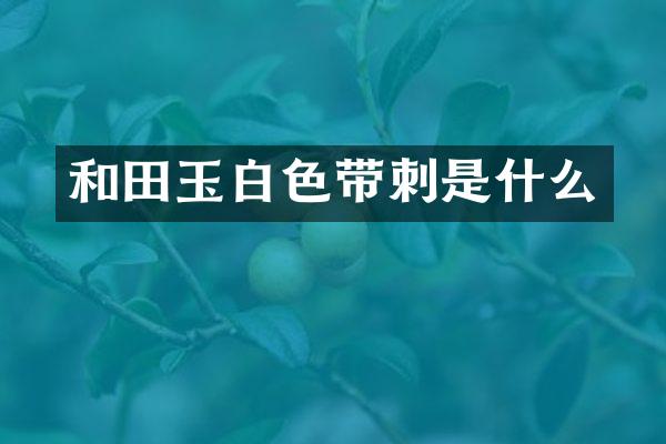 和田玉白色带刺是什么