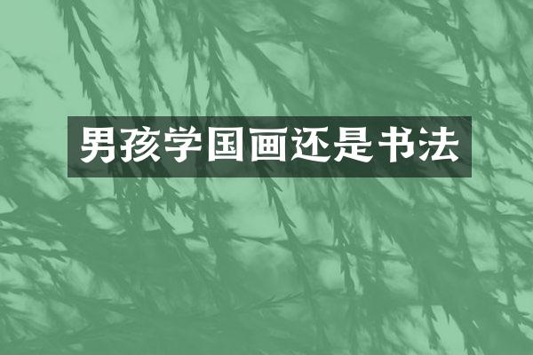 男孩学国画还是书法