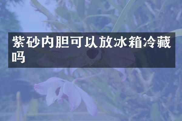 紫砂内胆可以放冰箱冷藏吗