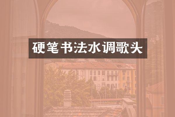 硬笔书法水调歌头