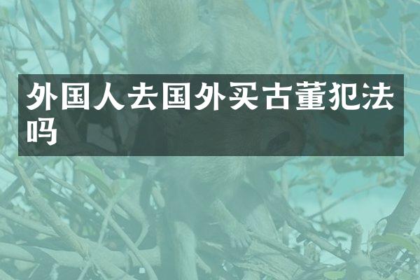 外国人去国外买古董犯法吗
