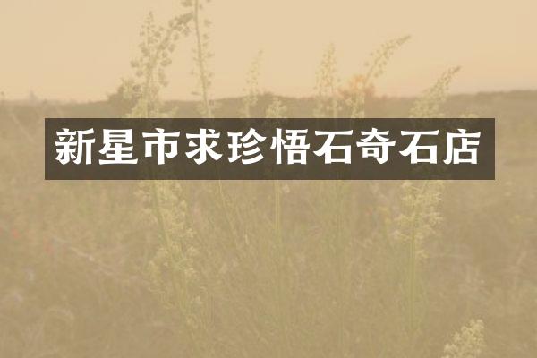 新星市求珍悟石奇石店
