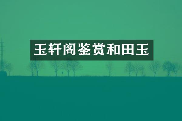 玉轩阁鉴赏和田玉