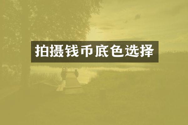 拍摄钱币底色选择