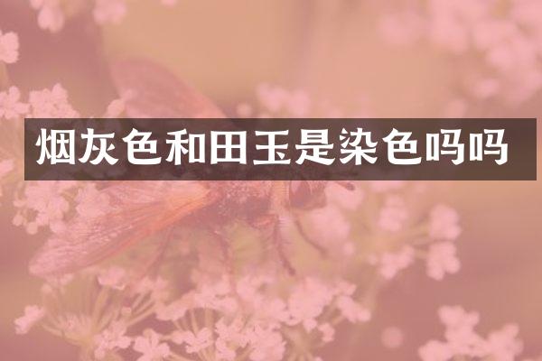 烟灰色和田玉是染色吗吗
