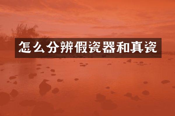 怎么分辨假瓷器和真瓷