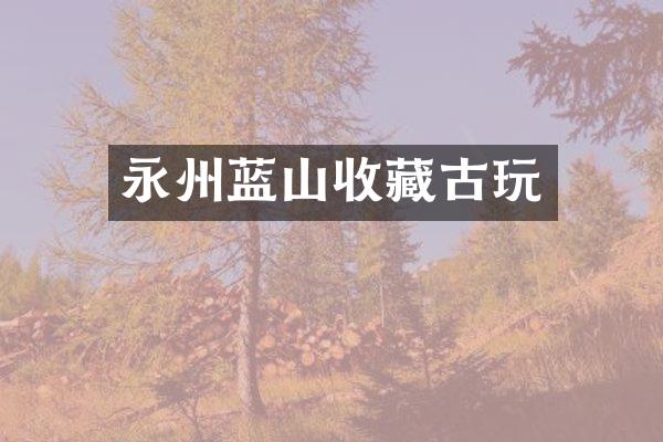 永州蓝山收藏古玩