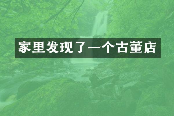 家里发现了一个古董店