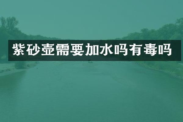 紫砂壶需要加水吗有毒吗