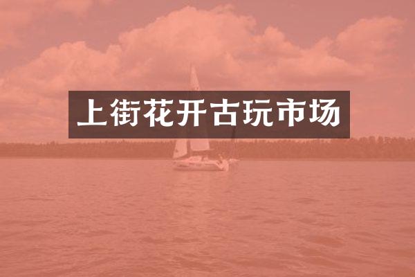 上街花开古玩市场