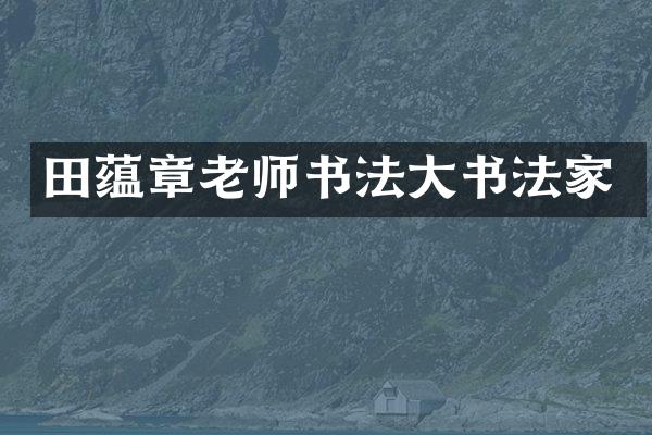 田蕴章老师书法大书法家