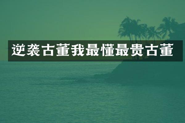 逆袭古董我最懂最贵古董